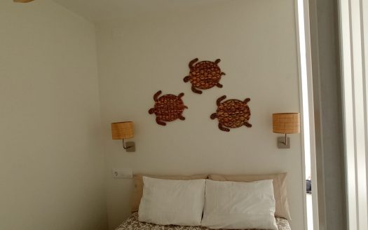 Estudio playa Gandia, Valencia.