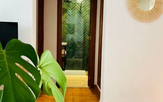 Apto en Dénia, Alicante.