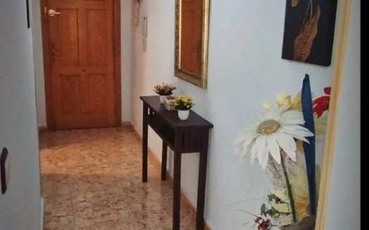 Apto en Torrevieja, Alicante.