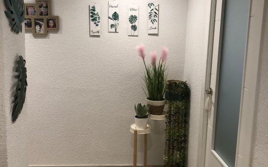 Habitación piso zona del Pla, Alicante Capital.