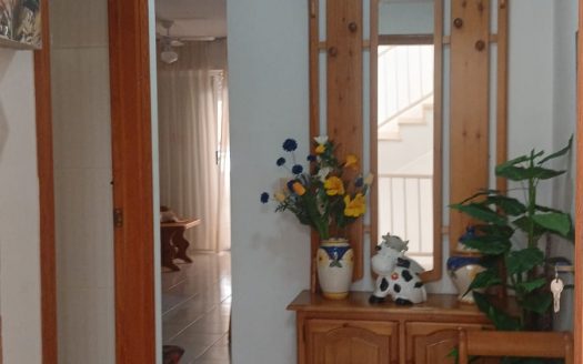 Apto en Torrevieja, Alicante.